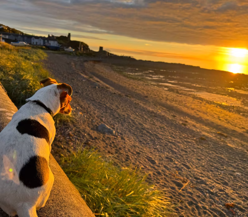 Accommodation in Dunure, Dunure House, South Ayrshire, Scotland