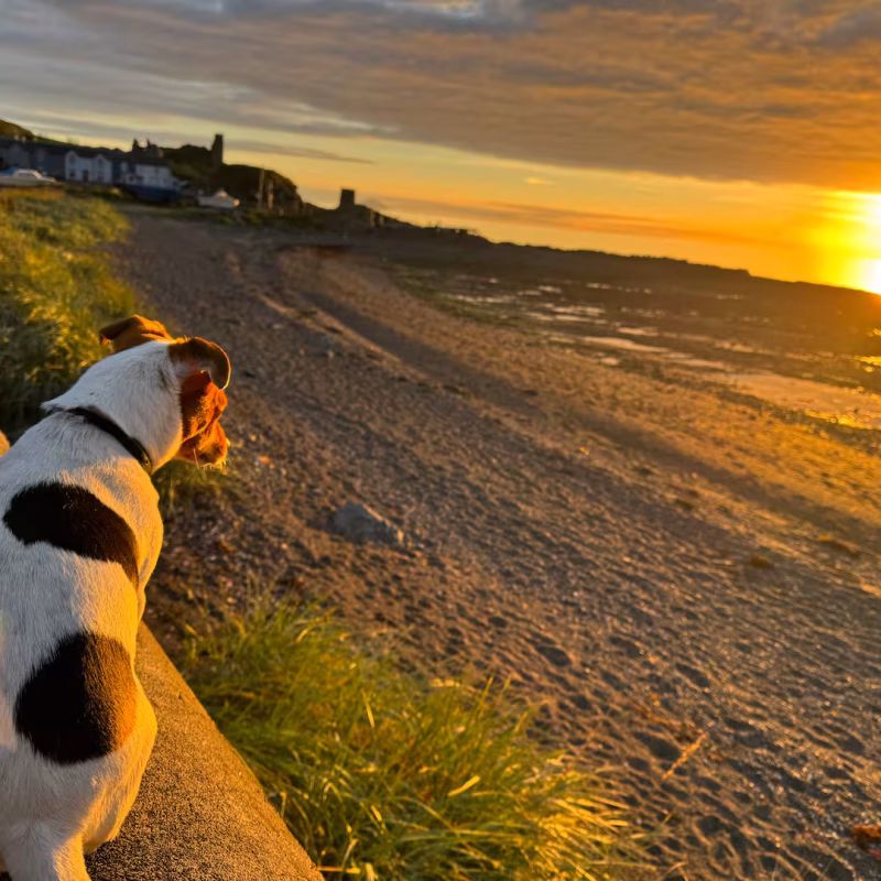 Accommodation in Dunure, Dunure House, South Ayrshire, Scotland