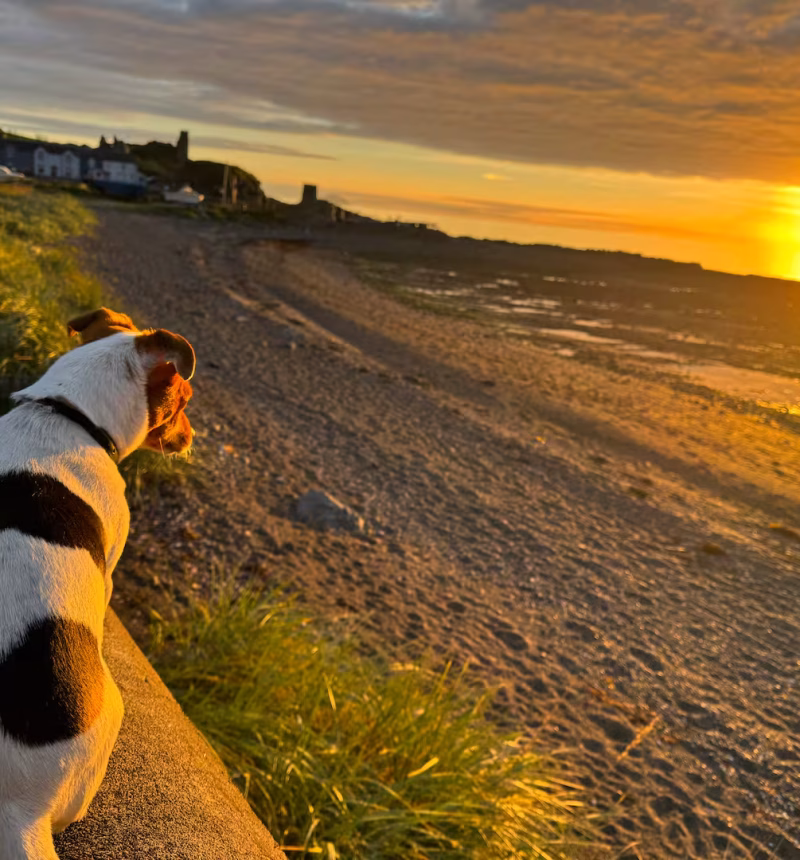 Accommodation in Dunure, Dunure House, South Ayrshire, Scotland